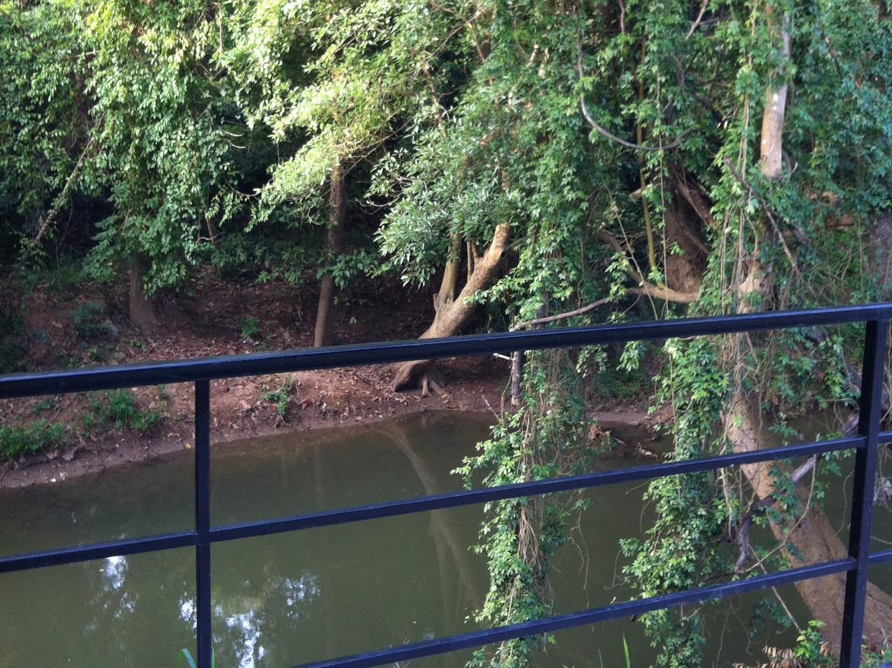 Hotel The Creek At Khao Yai Pak Chong Zewnętrze zdjęcie