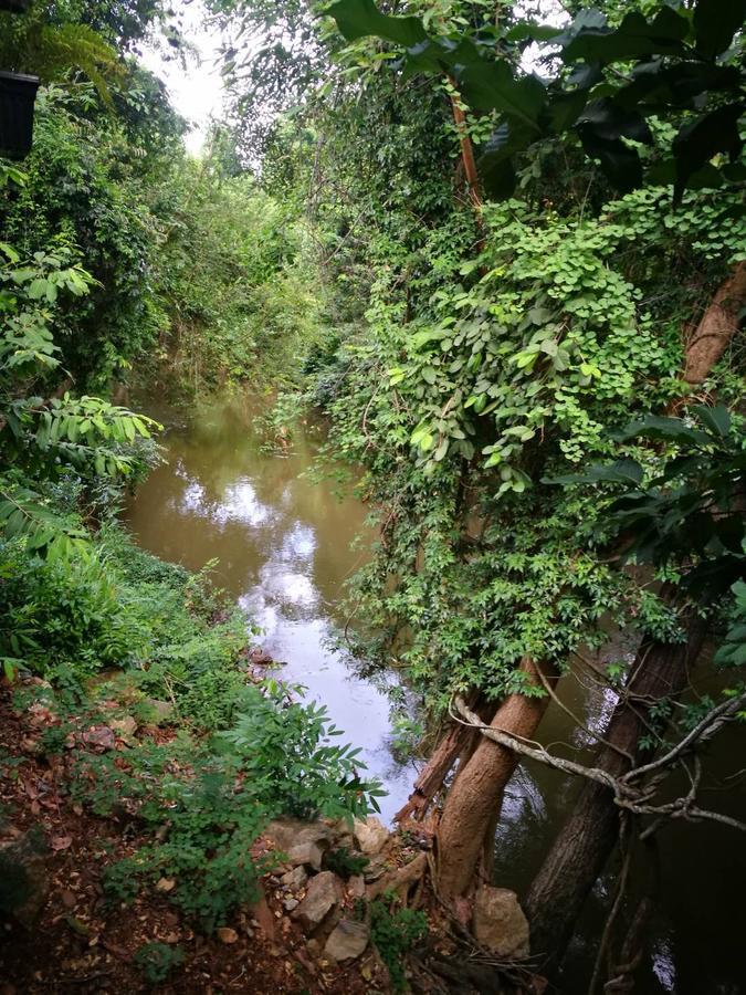 Hotel The Creek At Khao Yai Pak Chong Zewnętrze zdjęcie